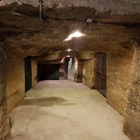 Demeures & Chateau - Fleur De Roques - Saint Emilion 3* 퓨이스게인