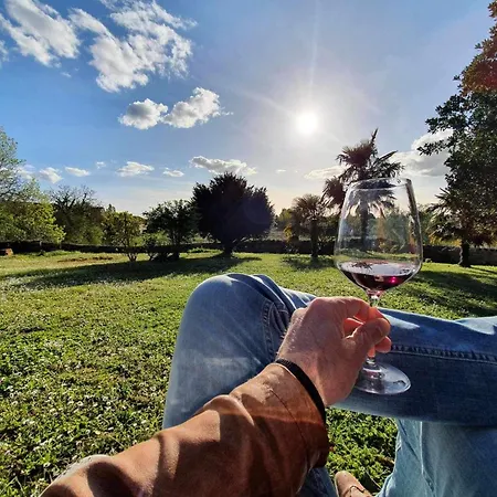 Demeures & Chateau - Fleur De Roques - Saint Emilion فندق