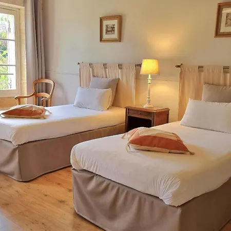 호텔 Demeures & Chateau - Fleur De Roques - Saint Emilion 3*