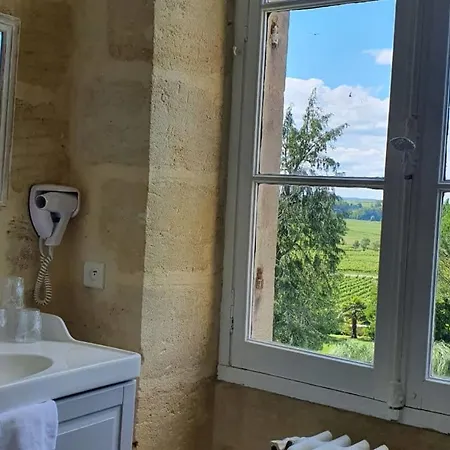Hotel Chateau Fleur De Roques - Saint Emilion Puisseguin