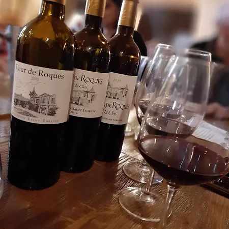 Demeures & Chateau - Fleur De Roques - Saint Emilion 호텔 3*