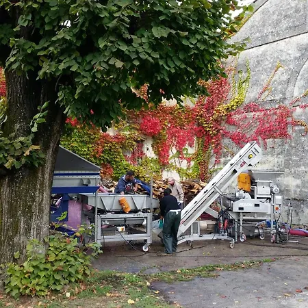 Demeures & Chateau - Fleur De Roques - Saint Emilion Ξενοδοχείο 3*