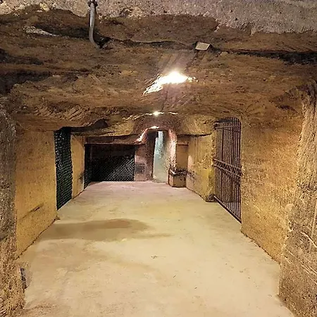 Hotel Demeures & Chateau - Fleur De Roques - Saint Emilion