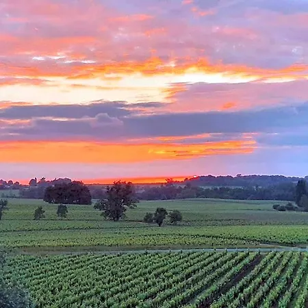 Demeures & Chateau - Fleur De Roques - Saint Emilion