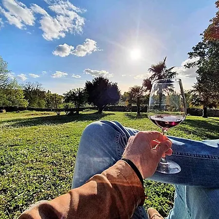 Ξενοδοχείο Demeures & Chateau - Fleur De Roques - Saint Emilion 3*