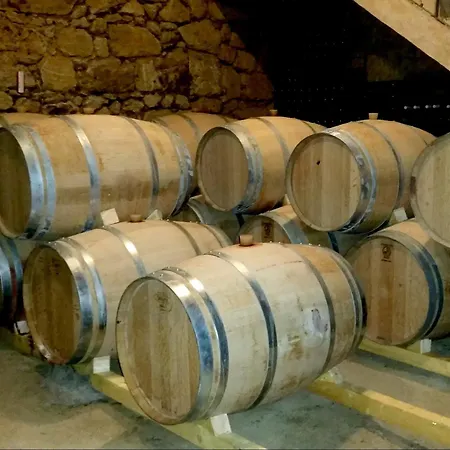 Demeures & Chateau - Fleur De Roques - Saint Emilion 호텔