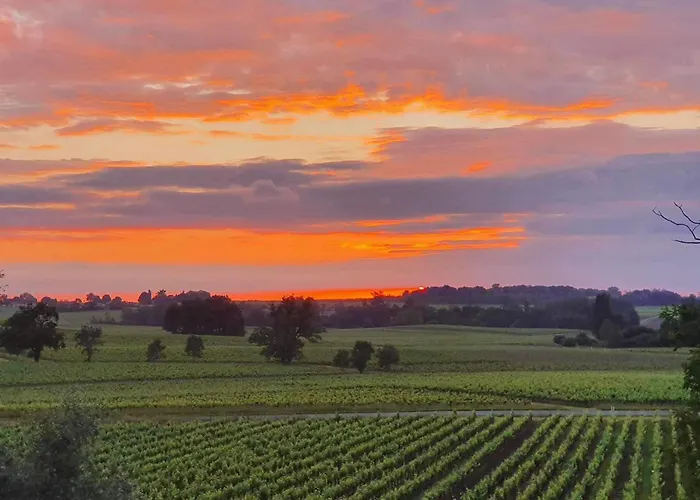 Demeures & Chateau - Fleur De Roques - Saint Emilion