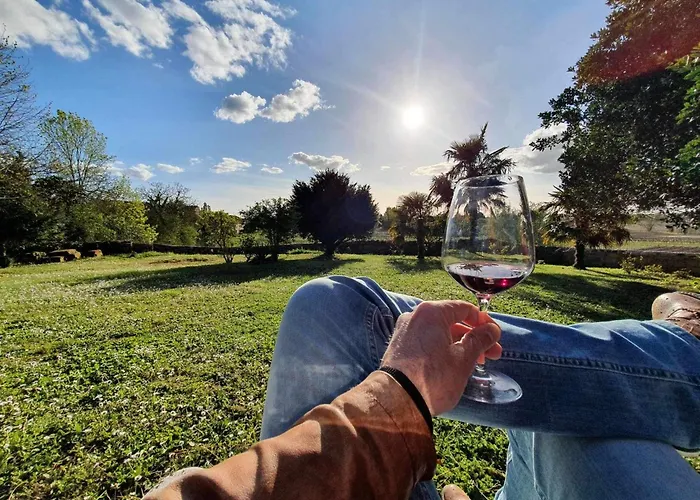 Demeures & Chateau - Fleur De Roques - Saint Emilion Hotel