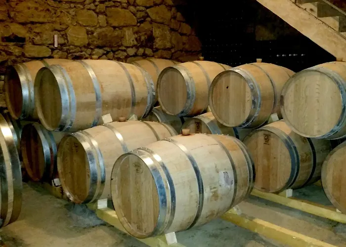 Demeures & Chateau - Fleur De Roques - Saint Emilion Hotel